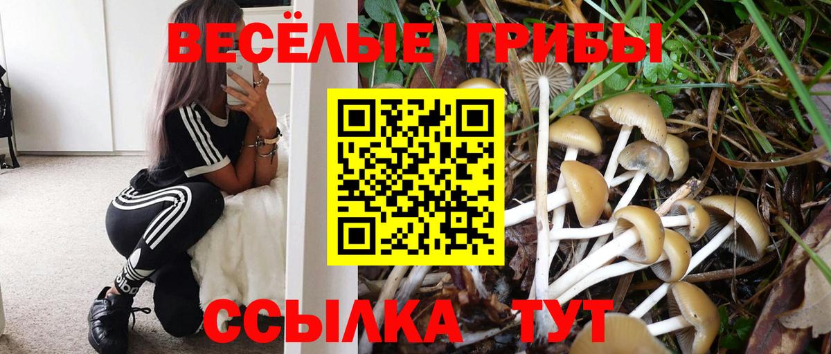 Псилоцибиновые грибы Psilocybe  где купить наркоту  Джанкой  Вход с VPN 